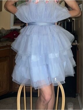 Strapless Purple Tulle Dress